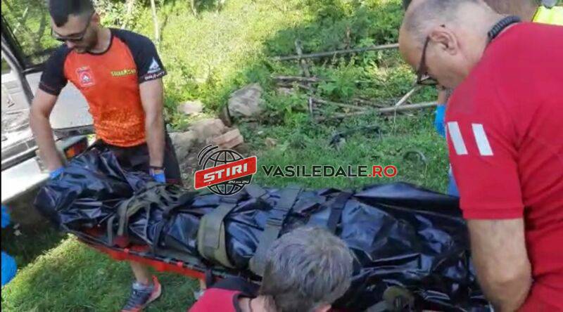 94b1c175-992b-49da-abdd-be6298ee189f