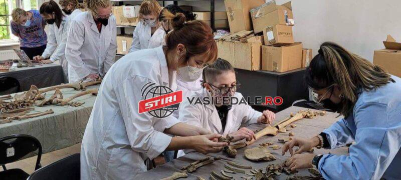 Conferință la Muzeul de Istorie – ”Bioarheologie la Baia Mare/Rivulus Dominarumˮ