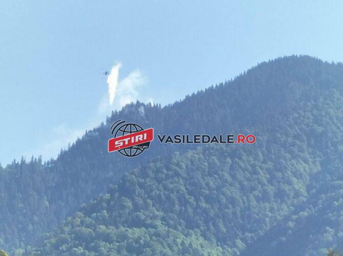 FOTO: O aeronavă a Forțelor Aeriene Române intervine pentru stingerea unui incendiu de pădure pe Valea Vaserului