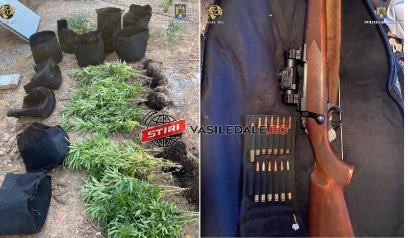 fa6f86aa-49b3-4a7d-b768-e2b781b48816