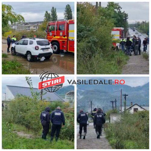 EXCLUSIV VIDEO: ÎN CĂUTAREA PISTOLULUI – Pistolarul a fost dus la reconstituire. Trupele poliției și ISU scotocesc tufișurile de la marginea municipiului Baia Mare. După reconstituire a fost arestat