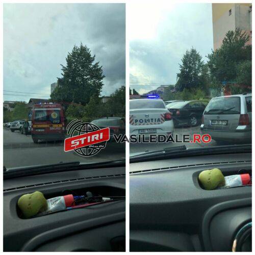 48373288-a413-49c0-bc97-c2d0c754f89f