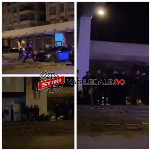 EXCLUSIV VIDEO: BAIA MARE SĂLBATICĂ – BĂTAIE ca-n filme într-un club de manele. Au intervenit trupele speciale