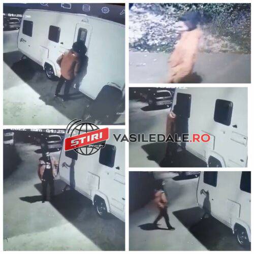 EXCLUSIV VIDEO: A intrat în apartamente în timp ce proprietarii dormeau. Spargere după spargere pe strada Păltinișului din Baia Mare – ACTUALIZARE