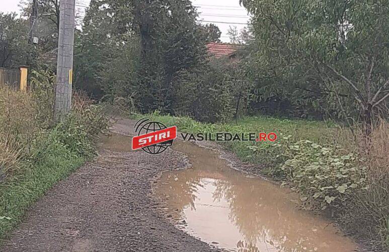 Galerie foto: SĂCĂLĂȘENI, comună înfloritoare cu ulițe pline de gropi îm care oamenii își rup mașinle