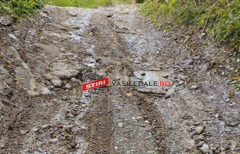 FOTO CITITORI: 10 copilași pornesc spre școală cu noaptea-n cap pe un drum de care Primăria Repedea și-a bătut joc