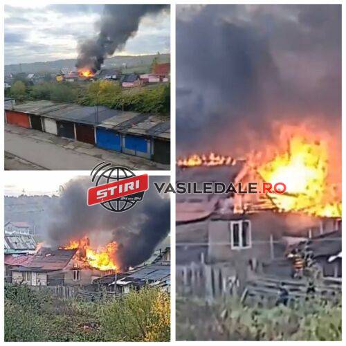 VIDEO – Incendiu violent pe Craica. O locuință și anexele au ars în totalite (actualizare)