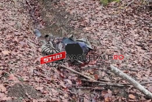 312737564_879183326413863_2732744406401818340_n