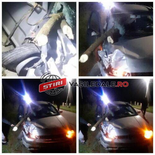 EXCLUSIV FOTO: Autoturism înfipt într-o căruţă cu lemne la Lucăceşti. Căruţaşul beat criţă (ACTUALIZARE)