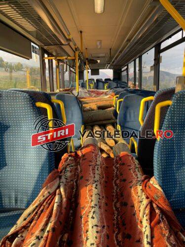 EXCLUSIV FOTO – ÎN LOC DE CĂLĂTORI: Lemn tăiat ilegal transportat cu autobuzul! Polițiștii de la Rutieră au interceptat mijlocul de transport în comun – ACTUALIZARE