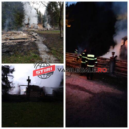 Exclusiv foto: Un canton silvic din Dragomirești a fost incendiat intențiomat de 3 necunoscuți astazi dimineață