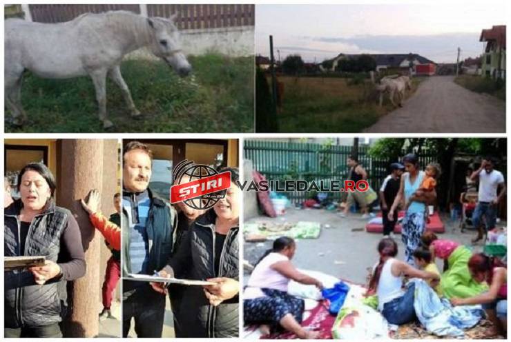 VIDEO: Sătenii dintr-o comună s-au revoltat împotriva rromilor. Violențe, spargeri, amenințări – localnicii s-au săturat