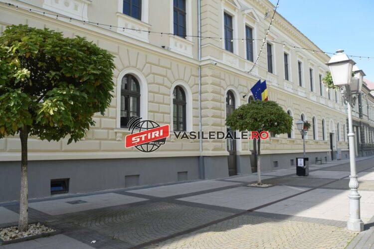 VIOLATORUL fetiței de 12 ani din Sat Șugatag a fost arestat preventiv