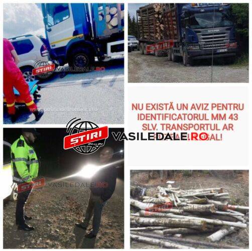 298847201_2067149706798039_5729646314961252291_n (1)