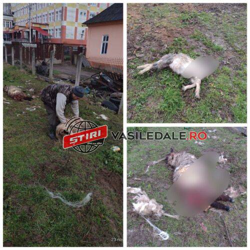 316274578_697117688296701_8513269359902966092_n (1)