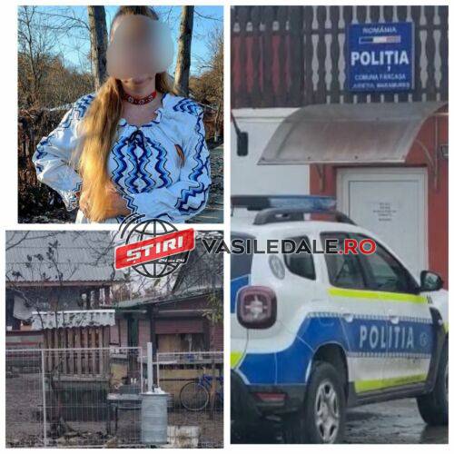 EXCLUSIV VIDEO: Femeia din Sârbi şi-a ucis concubinul cu cele două fete în camera alăturată. A fost arestată preventiv (actualizare)