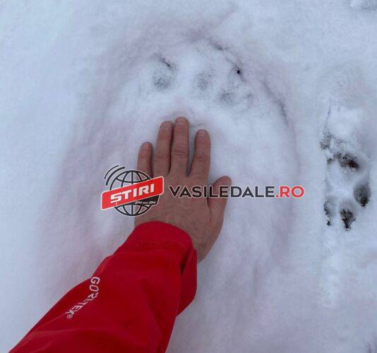 316670938_899436204388575_3619679857941743250_n