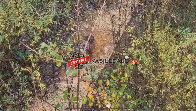 FOTO, VIDEO: Persoană decedată, scoasă dintr-un canal de scurgere de pe strada Oborului – ACTUALIZARE