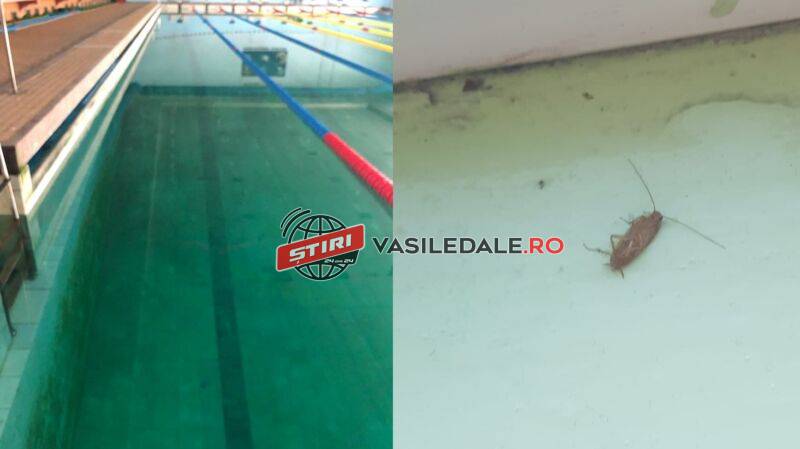 VIDEO / INACCEPTABIL: Bazinul din Baia Mare, focar de infecţie pentru înotători!