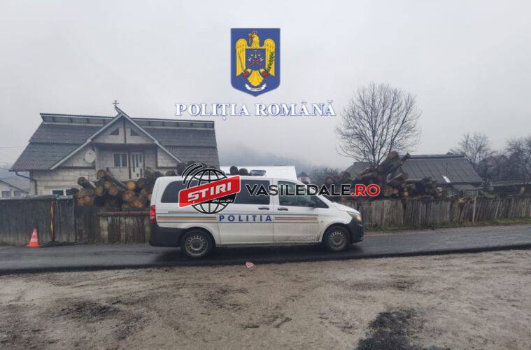 FOTO – URMARE PERCHEZIȚII SĂCEL: 1.500 mc masă lemnoasă necesară populației a dispărut, fiind tăiată ilegal. Peste 2 miliarde de lei vechi este prejudiciul