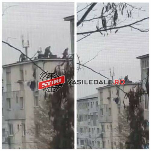 EXCLUSIV – NEXT LEVEL ÎN BAIA MARE: Au tăiat și pârjolit porcul direct pe un bloc de pe Aleea Filaturii