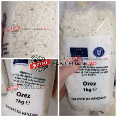 AM AVUT DREPTATE – Orezul cu insecte de la Coaş, luat la puricat de DSVSA Maramureş (VIDEO)