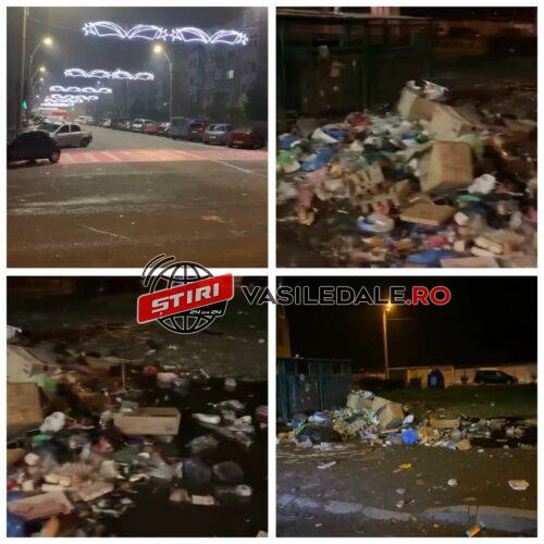 VIDEO: Băimăreni, avem luminițe ca-n filmele hollywood-iene, dar gunoiul cine ni-l ridică de pe străzi? Ghițucă ai văzut pe cineva că îl împrăștie?