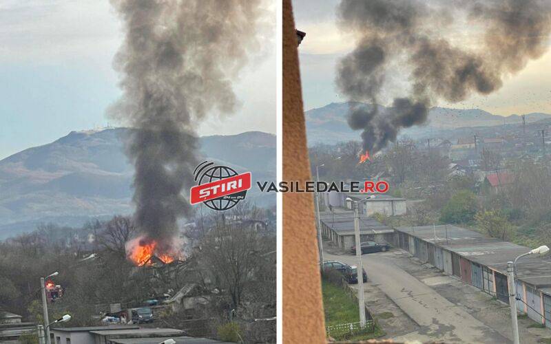 EXCLUSIV VIDEO: Incendiu violent pe Craica. Trei gospodării improvizate au fost mistuite de flăcări