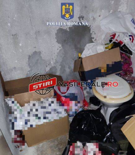 Un clan din Baia Mare, destructurat de mascaţi şi poliţiştii de la investigaţii economice