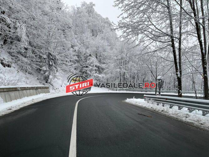 iarna pasul gutai