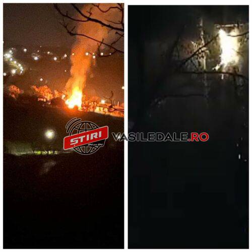 VIDEO: Revelion de foc pentru pompierii maramureșeni. Doi porci, un vițel, găini dar și două vaci au ars la Berința. Foc și la Firiza