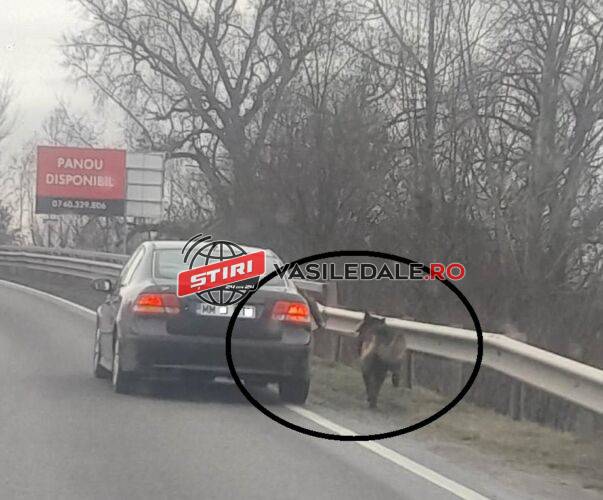 324452087_573705030846822_2717876572312182291_n