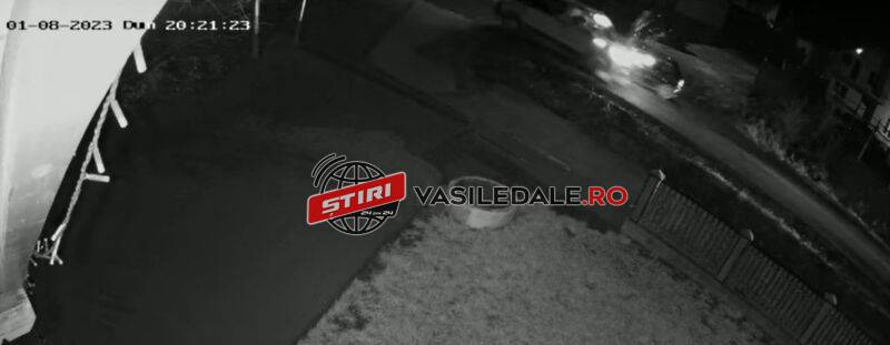 EXCLUSIV VIDEO – ACCIDENT LIVE: Avem imaginile impactului teribil dintre un microbuz și un autoturism. 7 oameni răniți la Groși