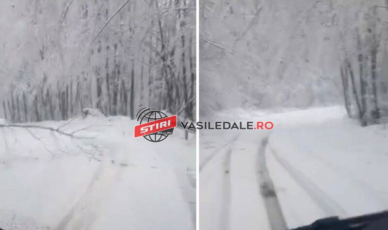 VIDEO: ATENȚIE ȘOFERI – DJ 109F din Cavnic spre Strâmbu Băiuţ, înzăpezit