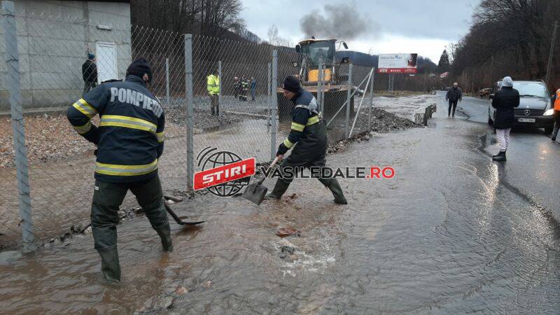 0d811b90-3301-4e8b-9982-4ece8e948187