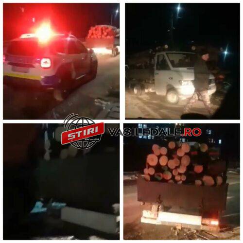 EXCLUSIV VIDEO: Camionetă plină cu bușteni fără acte condusă de un șofer în vârstă de 19 ani (actualizare)