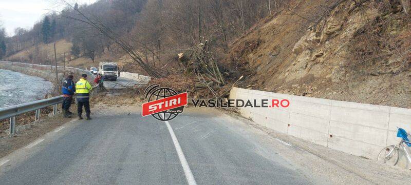 EXCLUSIV FOTO: DJ187 a fost acoperit de o alunecare de teren. Se circulă alternativ