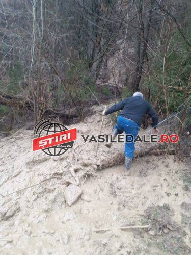 EXCLUSIV VIDEO: Alunecări de teren masive la Repedea. Oamenii sunt disperați