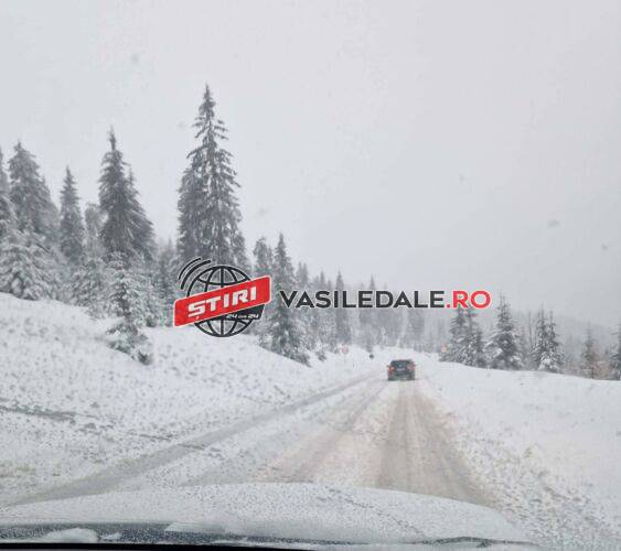 VIDEO – CUM SE CIRCULĂ PE DRUMURILE DIN JUDEŢ: TIR-uri neechipate corespunzător, blocate în Pasul Prislop