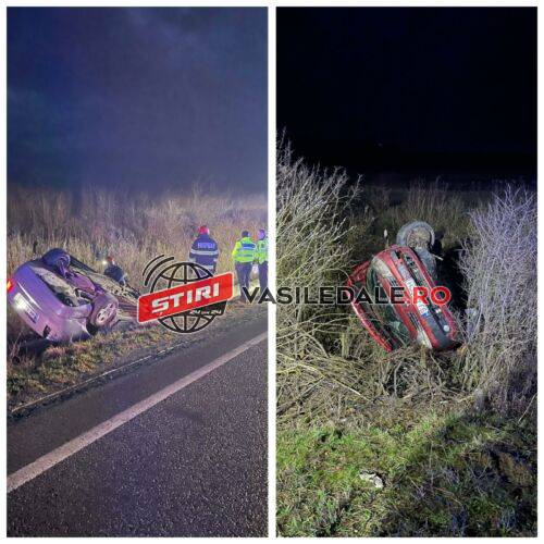 00f330ce-9740-4fad-8c77-767370366c04