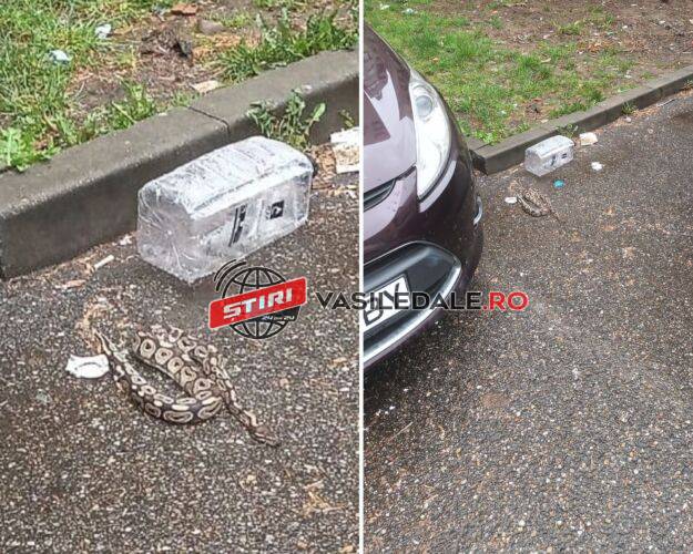 0522562f-c840-4199-a145-a35eaebe060c