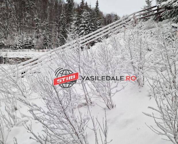 FOTO / VIDEO: S-a întors iarna: Au intervenit utilajele de deszăpezire