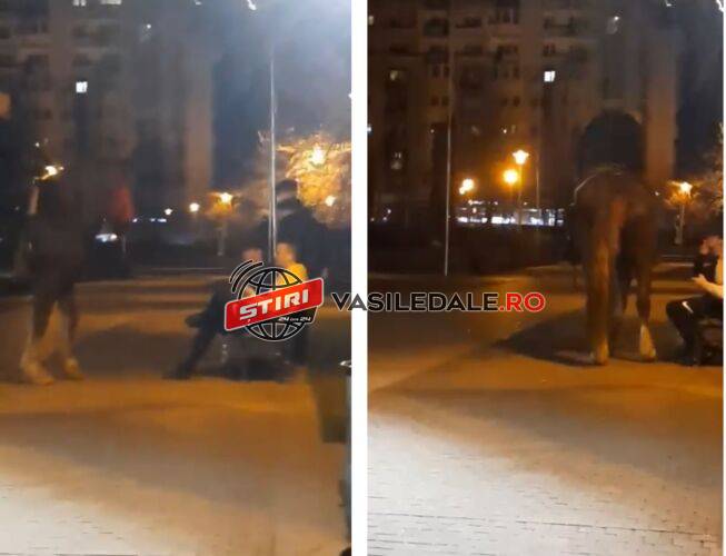 WhatsApp Image 2023-03-23 at 13.30.08