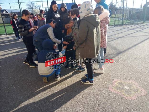 ŞCOALA ALTFEL: Lecții de criminalistică și de dresaj canin