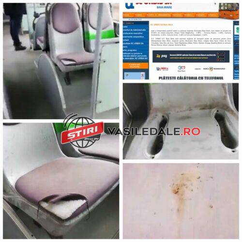 341132443_782634356582861_408629658209246318_n