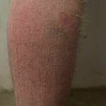 69c559a0-41ab-40b6-aa48-528fb998f114