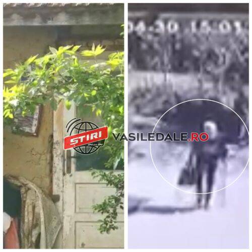 341991746_596160259130712_1306034971261633558_n