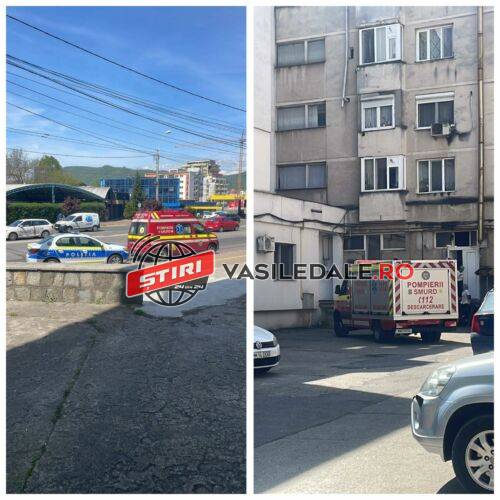 342195455_980521089605417_203465446965113369_n