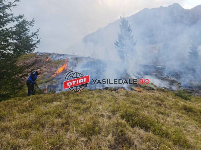 Pompieri şi jandarmi montani, acţiune comună pentru stingerea incendiului din zona Creasta Cocoşului