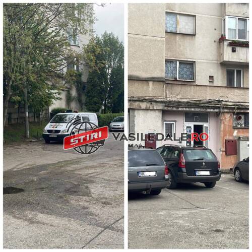 EXCLUSIV FOTO: Polițiștii au prins hoții SPIDERMAN din Baia Mare. Cei trei au ajuns în arestul IPJ